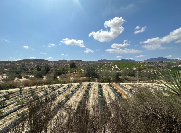 Wederverkoop - Country Property - Cañadas de San Pedro