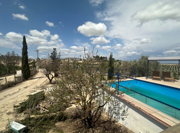 Wederverkoop - Country Property - Cañadas de San Pedro