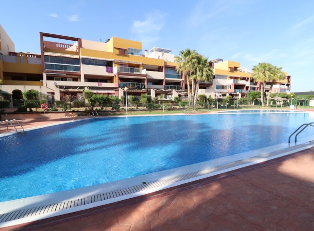 Wiederverkauf - Wohnung - Playa Flamenca - el bosque