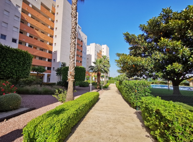 Wederverkoop - Appartement - Guardamar del Segura