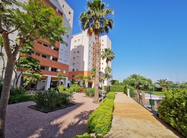 Wederverkoop - Appartement - Guardamar del Segura