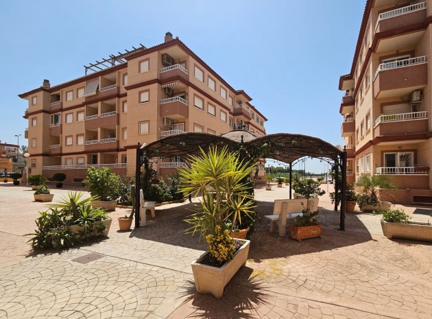 Wederverkoop - Appartement - Algorfa - res cecilia