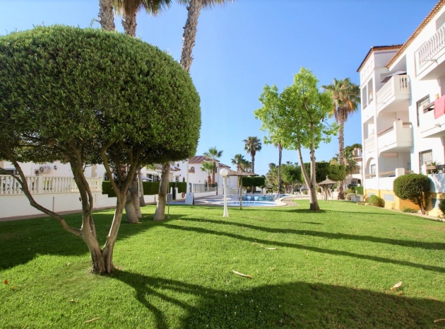 Resale - Apartment - Villamartin - las violetas