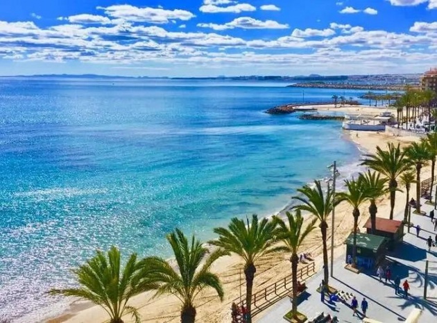 Nybyggnad - Lägenhet - Torrevieja - Playa De Los Locos