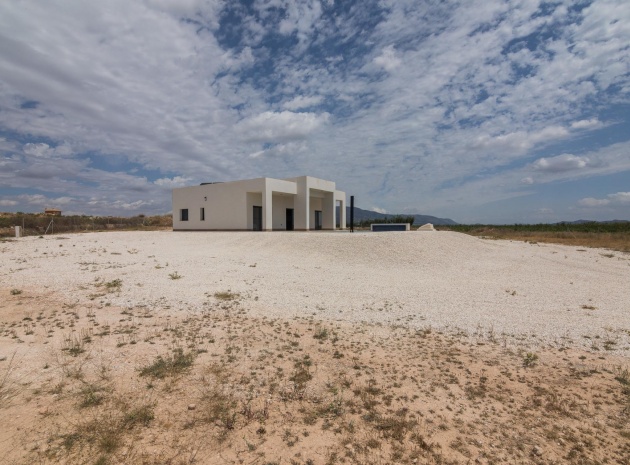 Nieuw gebouw - Villa - Pinoso - Campo