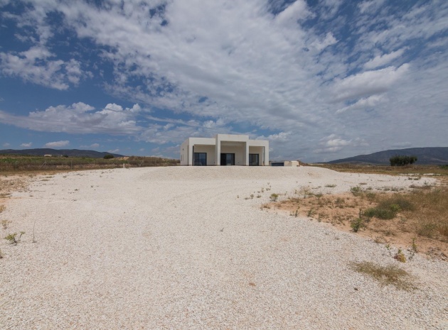 Nieuw gebouw - Villa - Pinoso - Campo