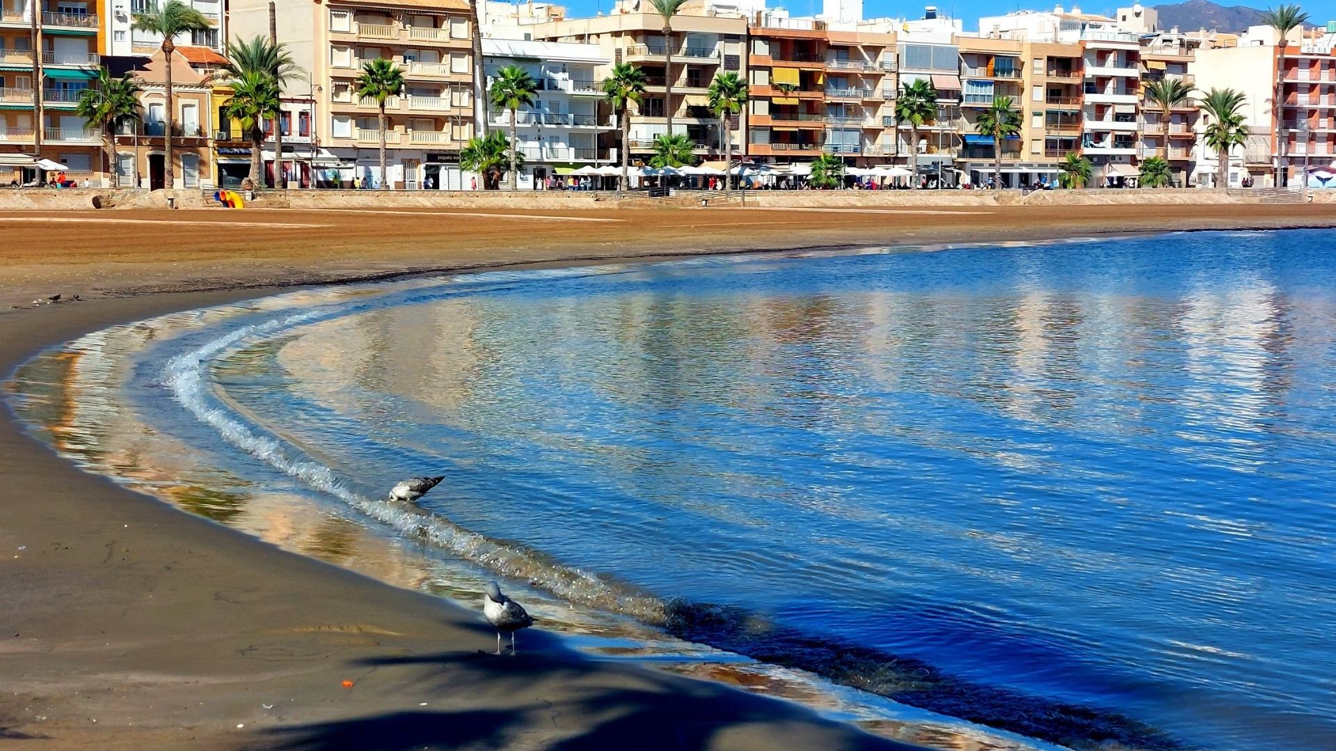 Nybyggnad - Bungalow - Fuente Álamo - La Pinilla