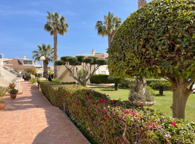 Återförsäljning - Lägenhet - Playa Flamenca - miraflores