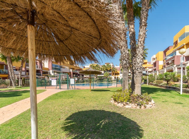 Wiederverkauf - Wohnung - Playa Flamenca - el bosque