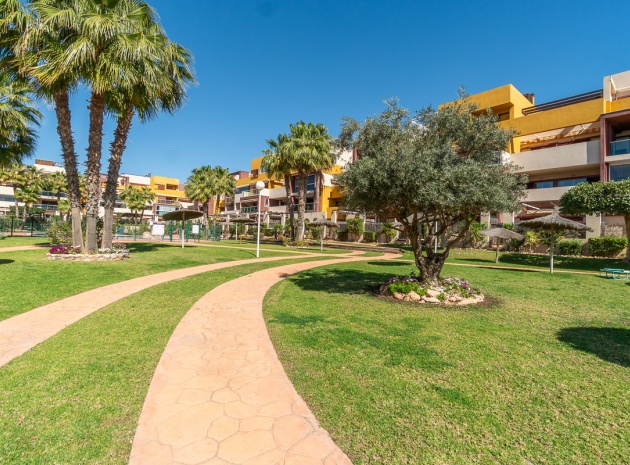 Wiederverkauf - Wohnung - Playa Flamenca - el bosque