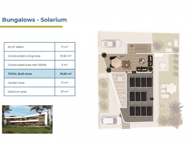 Nieuw gebouw - Appartement - Punta Prima - Costa Blanca South