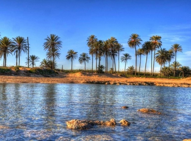 Nybyggnad - Lägenhet - Torrevieja - Playa Del Cura