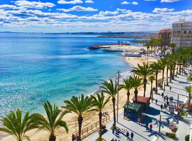 Nybyggnad - Lägenhet - Torrevieja - Playa Del Cura