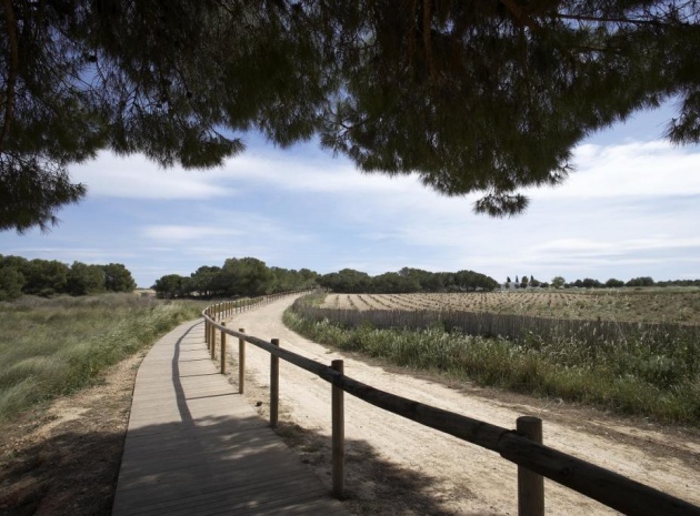 Neubau - Bungalow - Torrevieja - Torrejón