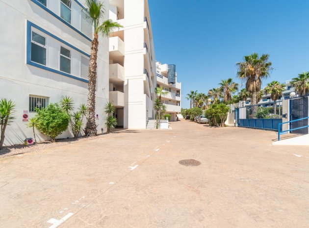 Wiederverkauf - Wohnung - Playa Flamenca - las terrazas