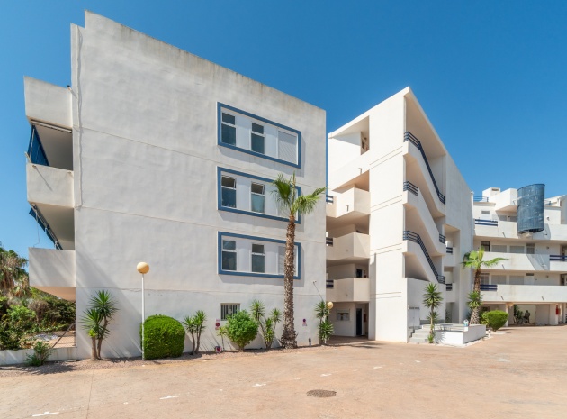 Wiederverkauf - Wohnung - Playa Flamenca - las terrazas