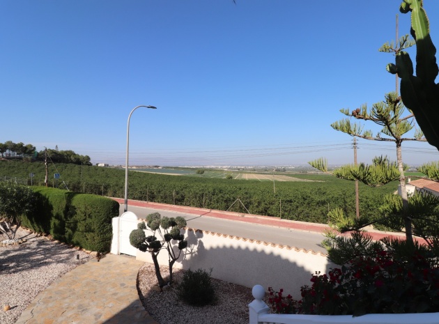 Resale - Villa - Algorfa - Lomas de La Juliana