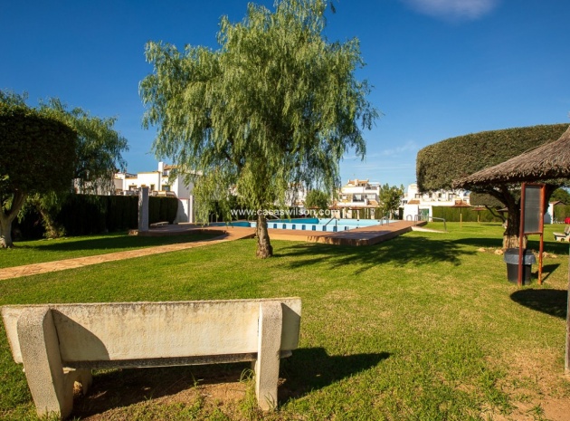 Wederverkoop - Villa - Torrevieja - jardin del mar