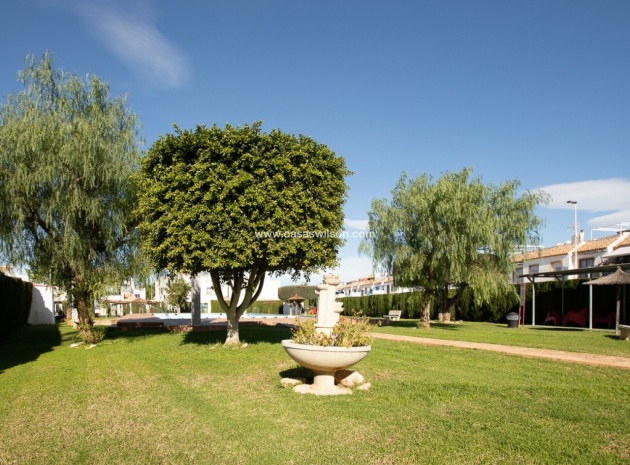 Wederverkoop - Villa - Torrevieja - jardin del mar