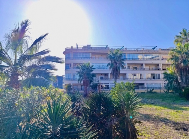 Resale - Apartment - Playa Flamenca - la mirada