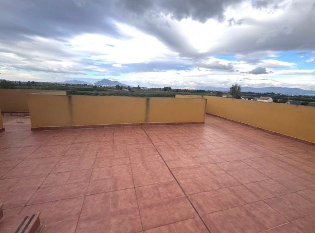 Revente - Appartement - Daya Nueva