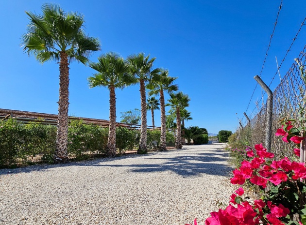 Resale - Country Property - Crevillente