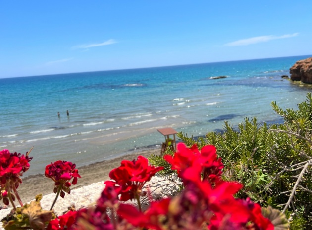 Resale - Villa - Villamartin - PAU 26