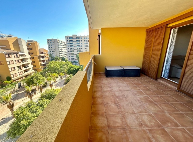 Resale - Apartment - Punta Prima - La Recoleta