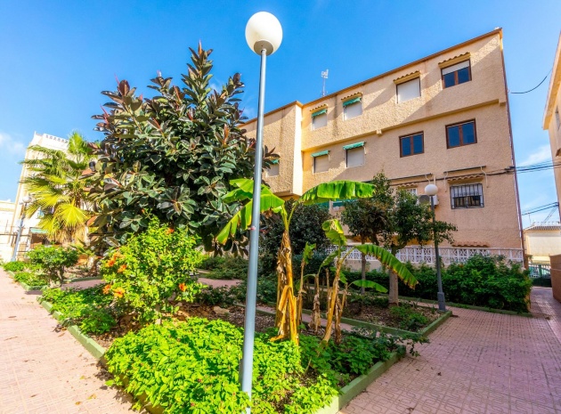 Wiederverkauf - Wohnung - La Mata