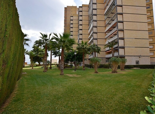 Resale - Apartment - Campoamor - dehesa de campoamor