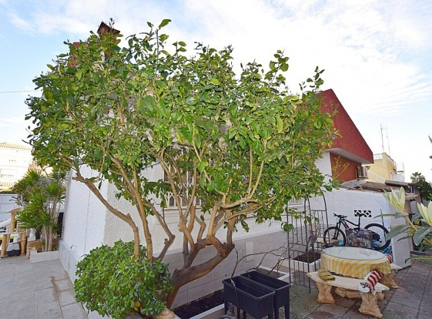 Revente - Villa - Torrevieja