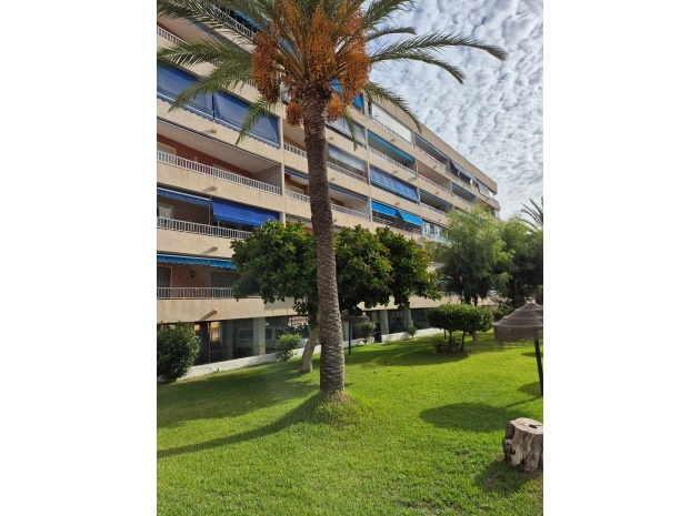 Wederverkoop - Appartement - Punta Prima