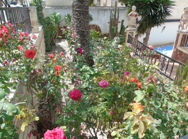 Revente - Villa - Benijofar
