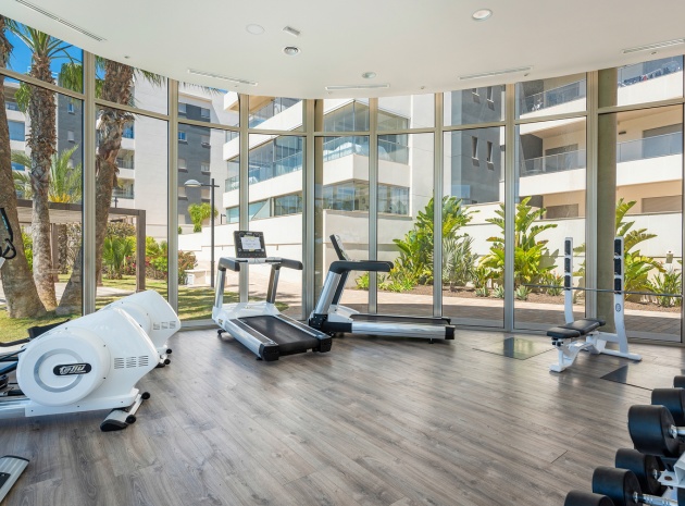 Resale - Apartment - Villamartin - Los Dolses