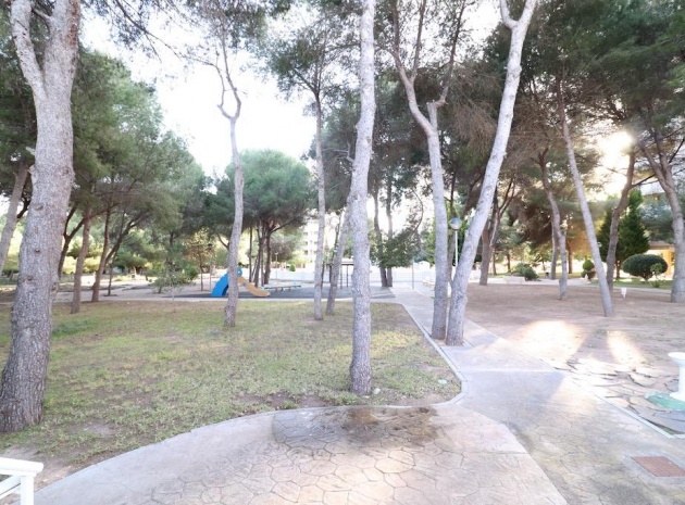 Resale - Apartment - Campoamor - dehesa de campoamor