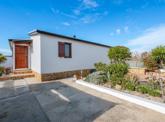 Resale - Country Property - Elche Pedanías - Daimés