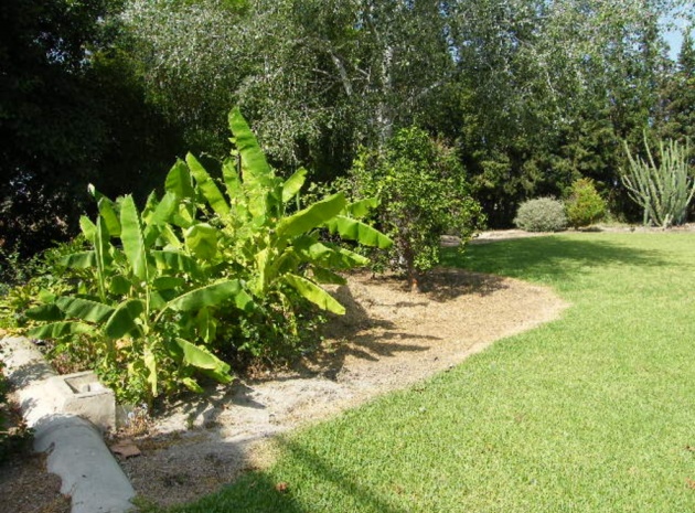 Revente - Villa - Daya Nueva