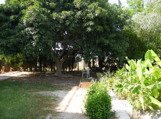 Revente - Villa - Daya Nueva
