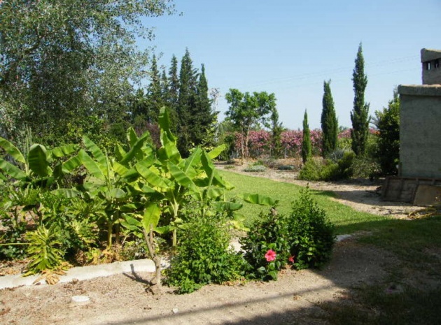 Revente - Villa - Daya Nueva