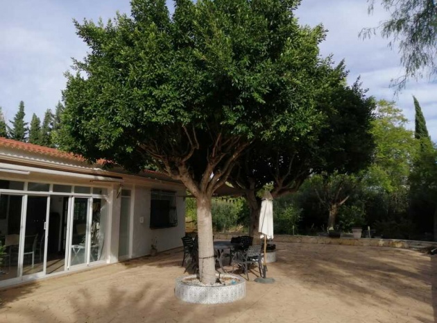Återförsäljning - Villa - Crevillente - crevillente
