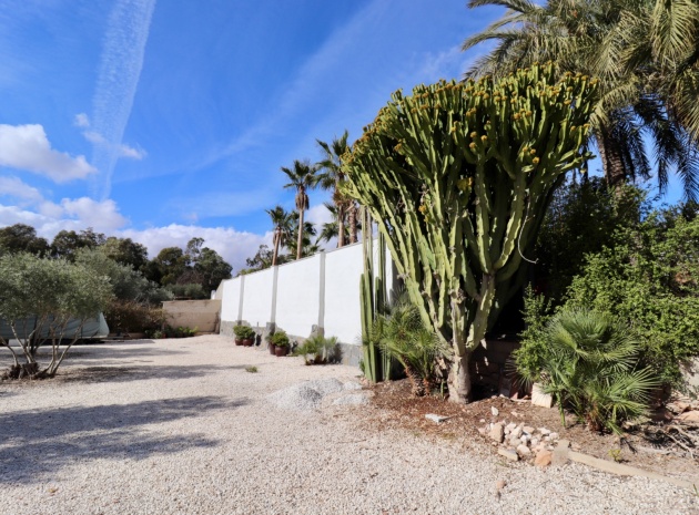 Resale - Country Property - El Altet