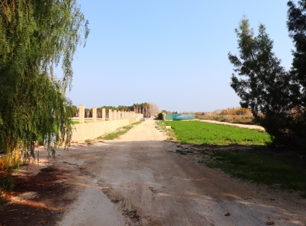 Resale - Country Property - Daya Vieja - Daya Vieja - Country