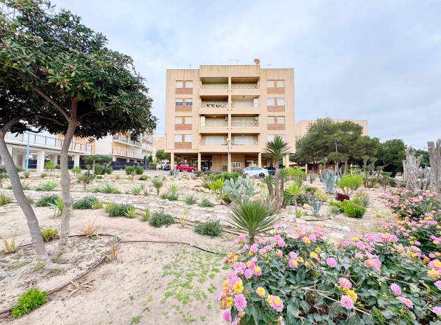 Wederverkoop - Appartement - Punta Prima