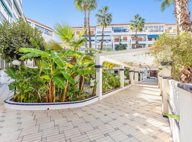 Revente - Appartement - Torrevieja - Los Europeos