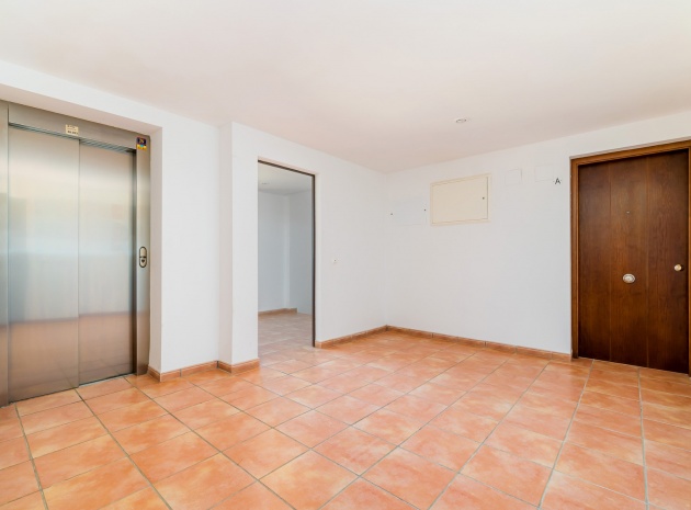 Resale - Apartment - Punta Prima - la entrada
