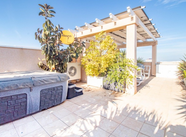 Resale - Apartment - Punta Prima - vista azul
