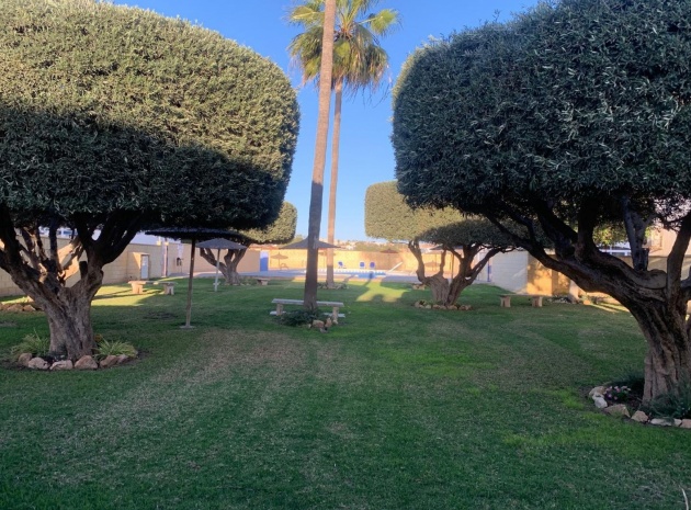 Resale - Apartment - Torrevieja - Jardin del Mar