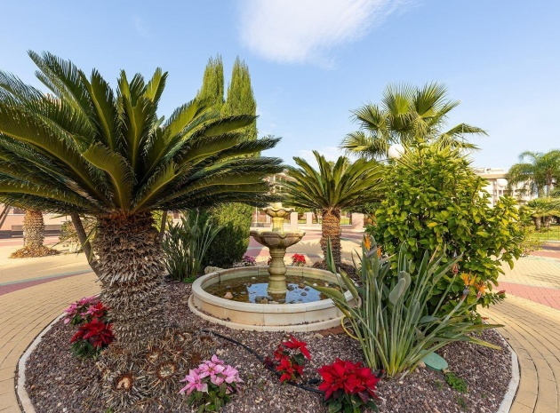 Resale - Apartment - Playa Flamenca - Laguna Golf
