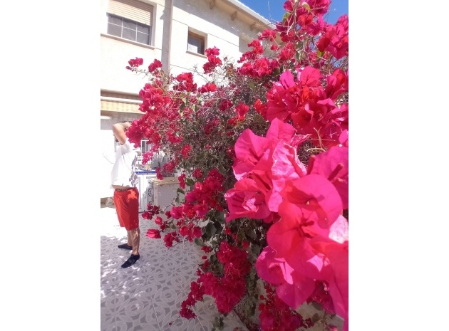 Resale - Townhouse - Torrevieja - Aguas Nuevas