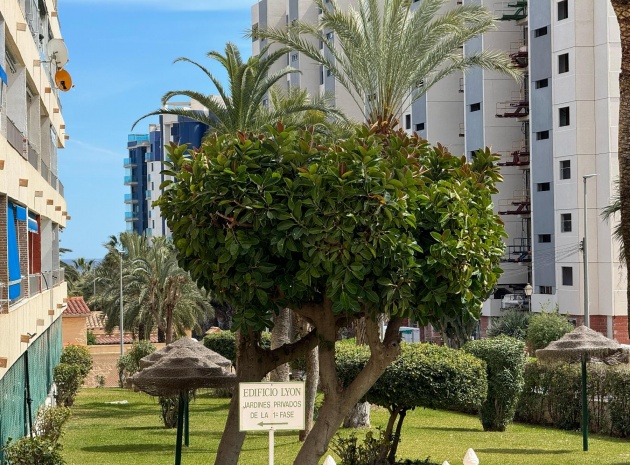 Resale - Apartment - Torrevieja - Punta Prima